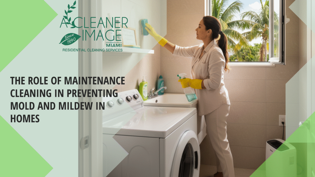 The Role of Maintenance Cleaning in Preventing Mold and Mildew in Miami Dade County Homes