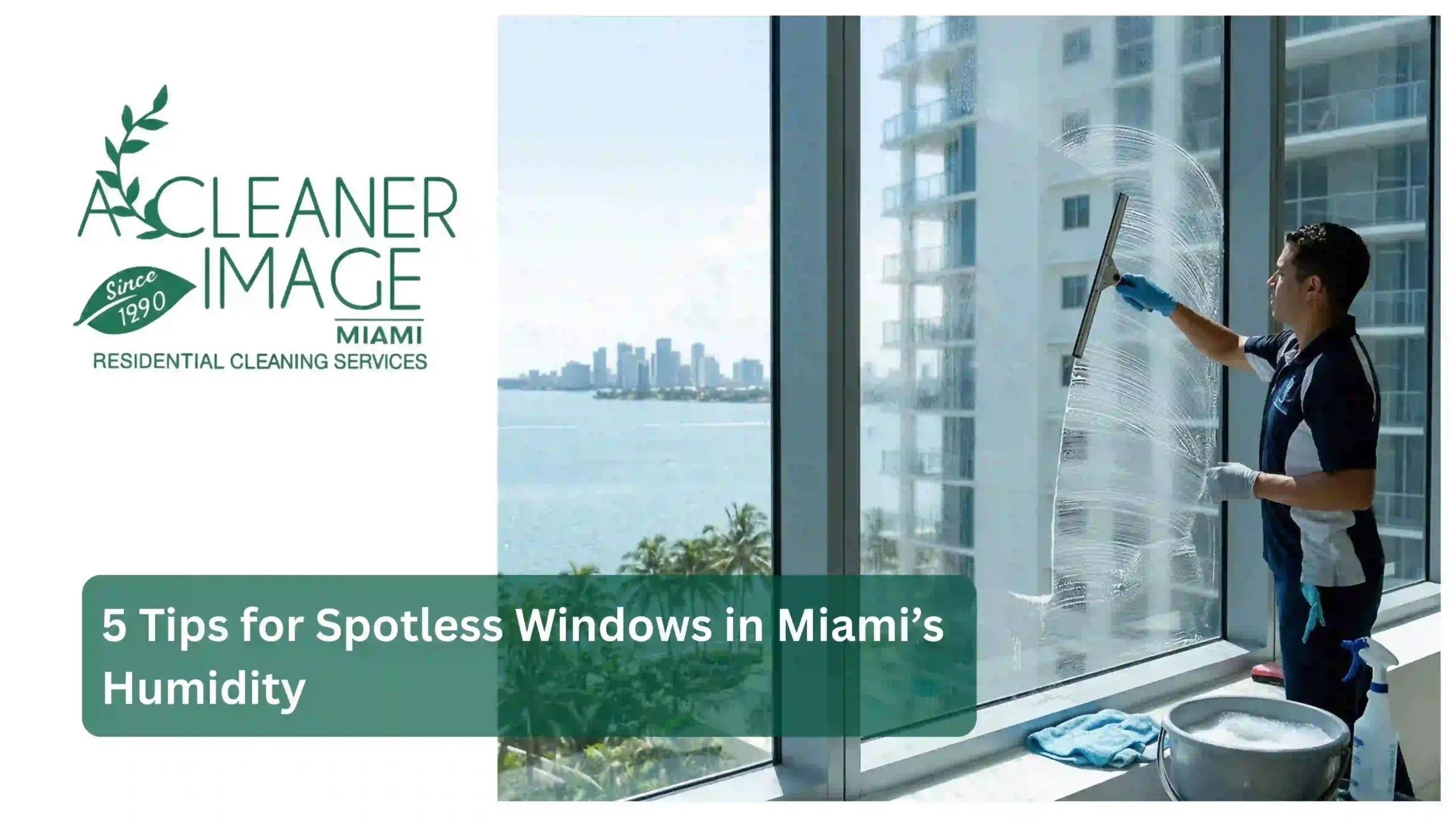 5 Tips for Spotless Windows in Miami’s Humidity