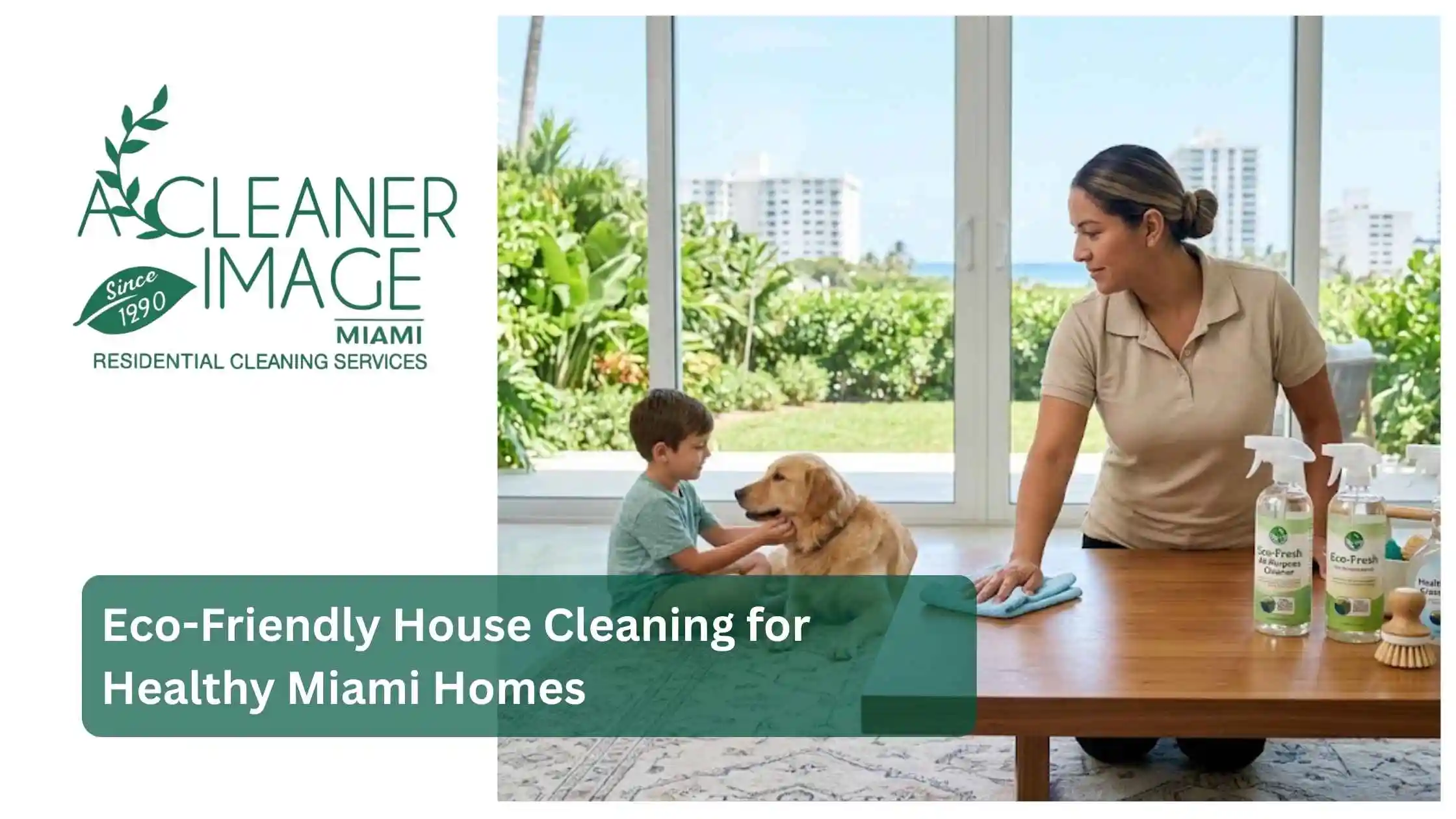 Eco Friendly House Cleaning for Healthy Miami Homes